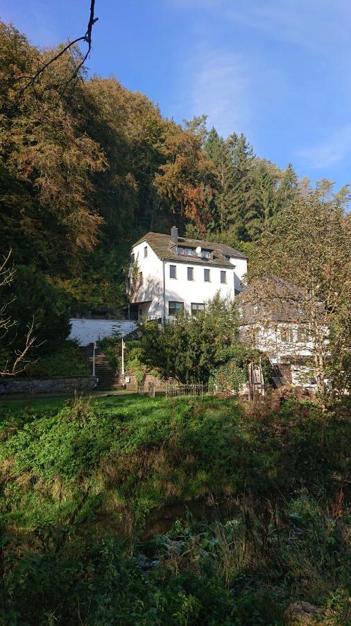 Ferienwohnung Haus Schoeneck Schönecken Kültér fotó